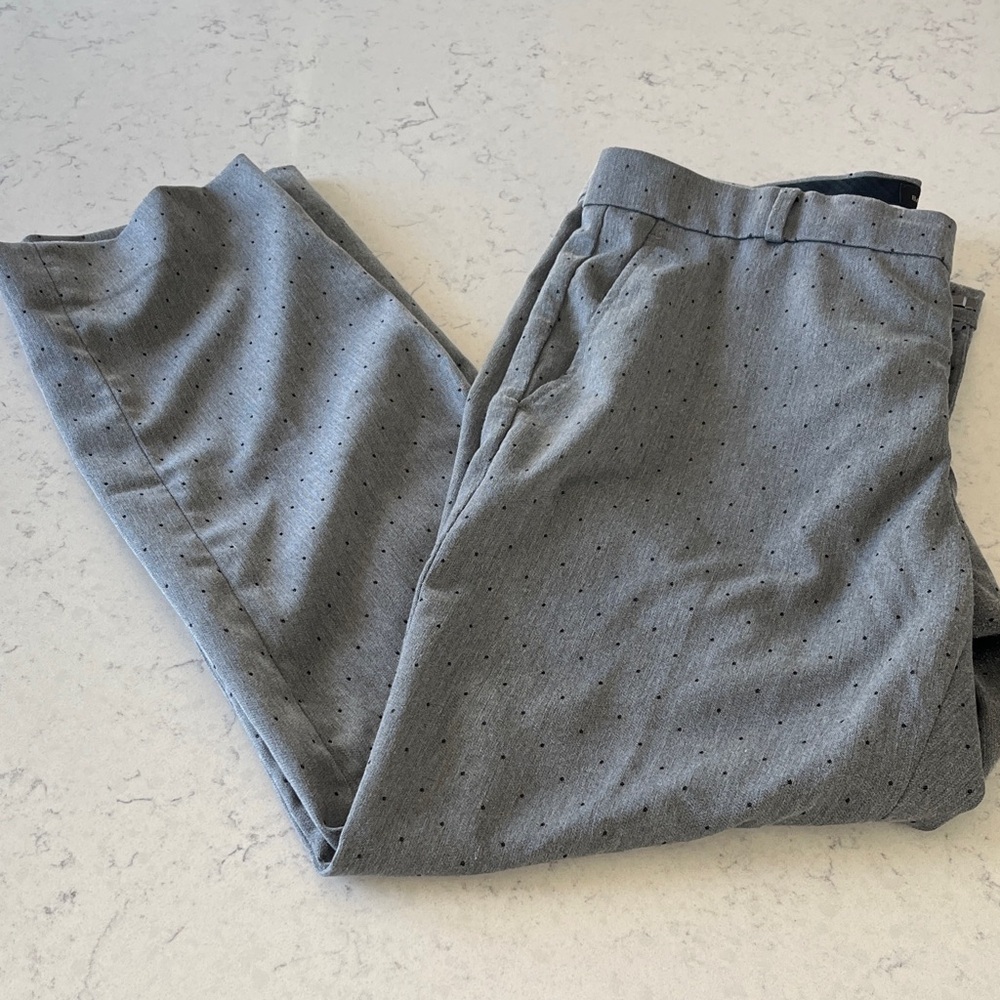 Women’s Banana Republic “Ryan” Light Gray Micro-Dot size 12